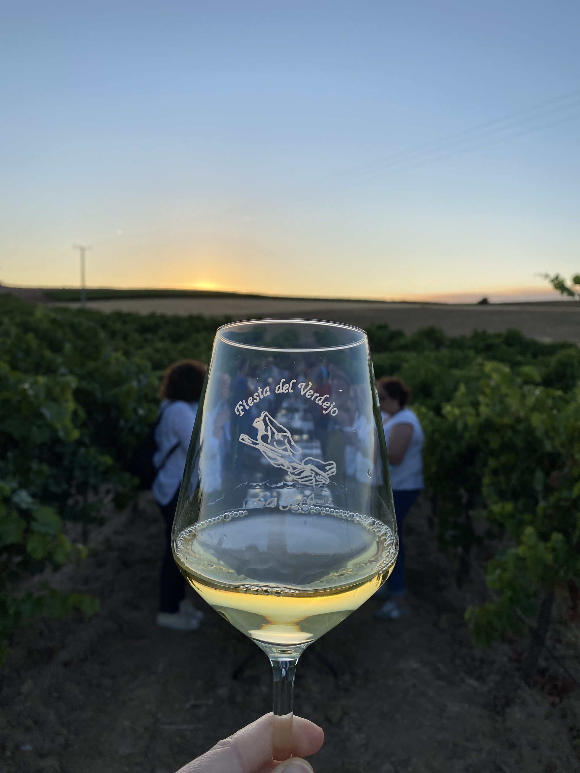 La fiesta del Verdejo regresa a La Seca con su homenaje a esta variedad y a los primeros vinos de la añada